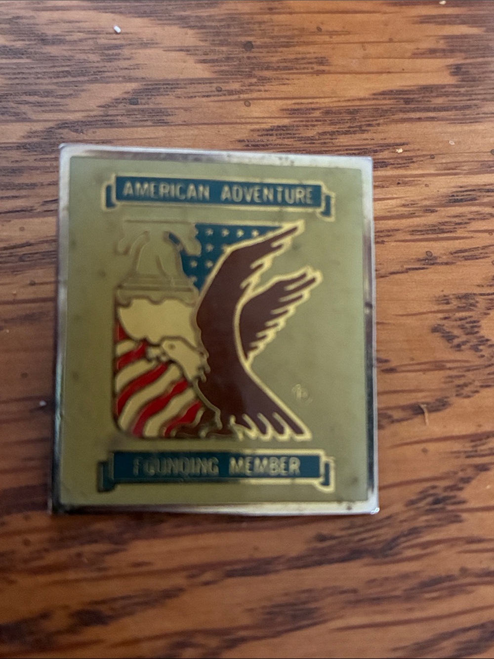 Vintage American Adventure Pin